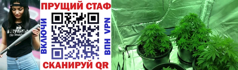 Наркошоп купить Cocaine  МЕФ  Alpha-PVP  НБОМе  Гашиш  Марихуана  Светогорск