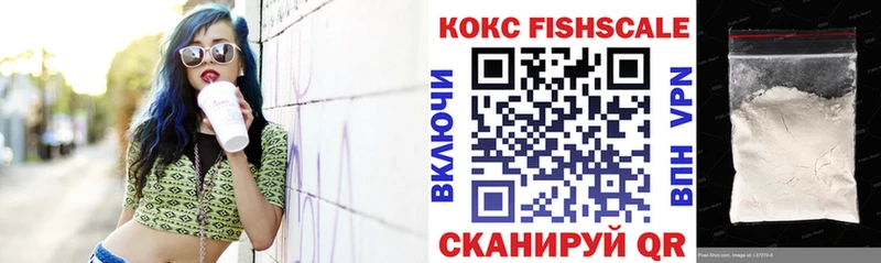 Кокаин Fish Scale  Купить закладки  Светогорск 