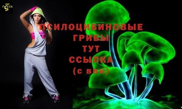 прущий лед Гусев