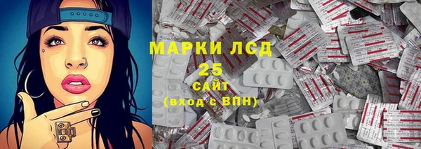 прущий лед Гусев
