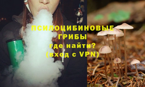 прущий лед Гусев