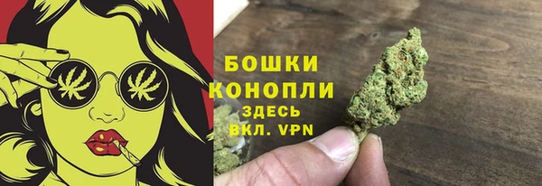 метадон Гусиноозёрск